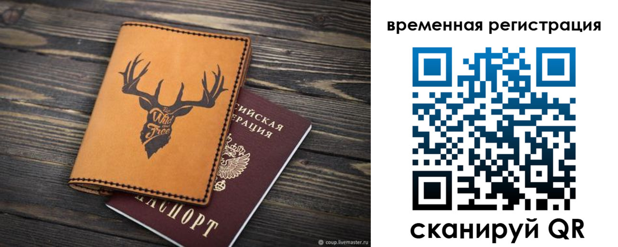 прописка в Камешково